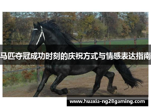 马匹夺冠成功时刻的庆祝方式与情感表达指南 马匹夺冠成功时刻的庆祝方式与情感表达指南