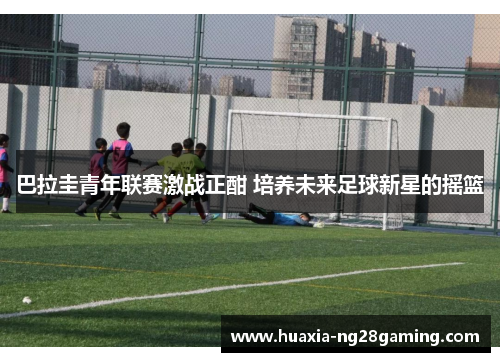 巴拉圭青年联赛激战正酣 培养未来足球新星的摇篮