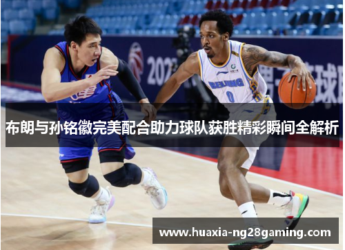 布朗与孙铭徽完美配合助力球队获胜精彩瞬间全解析