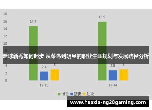 篮球新秀如何起步 从菜鸟到明星的职业生涯规划与发展路径分析