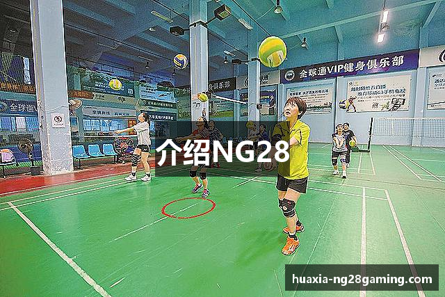 介绍NG28